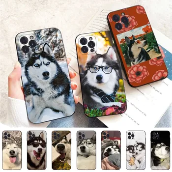 Animal Husky Dog Щенок Чехол для телефона Силиконовые Софт для iPhone 15 14 13 12 11 Pro Mini XS MAX 8 7 6 Plus X XS XR Чехол